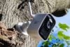 Swann MaxRanger 4K Mini camera in a tree