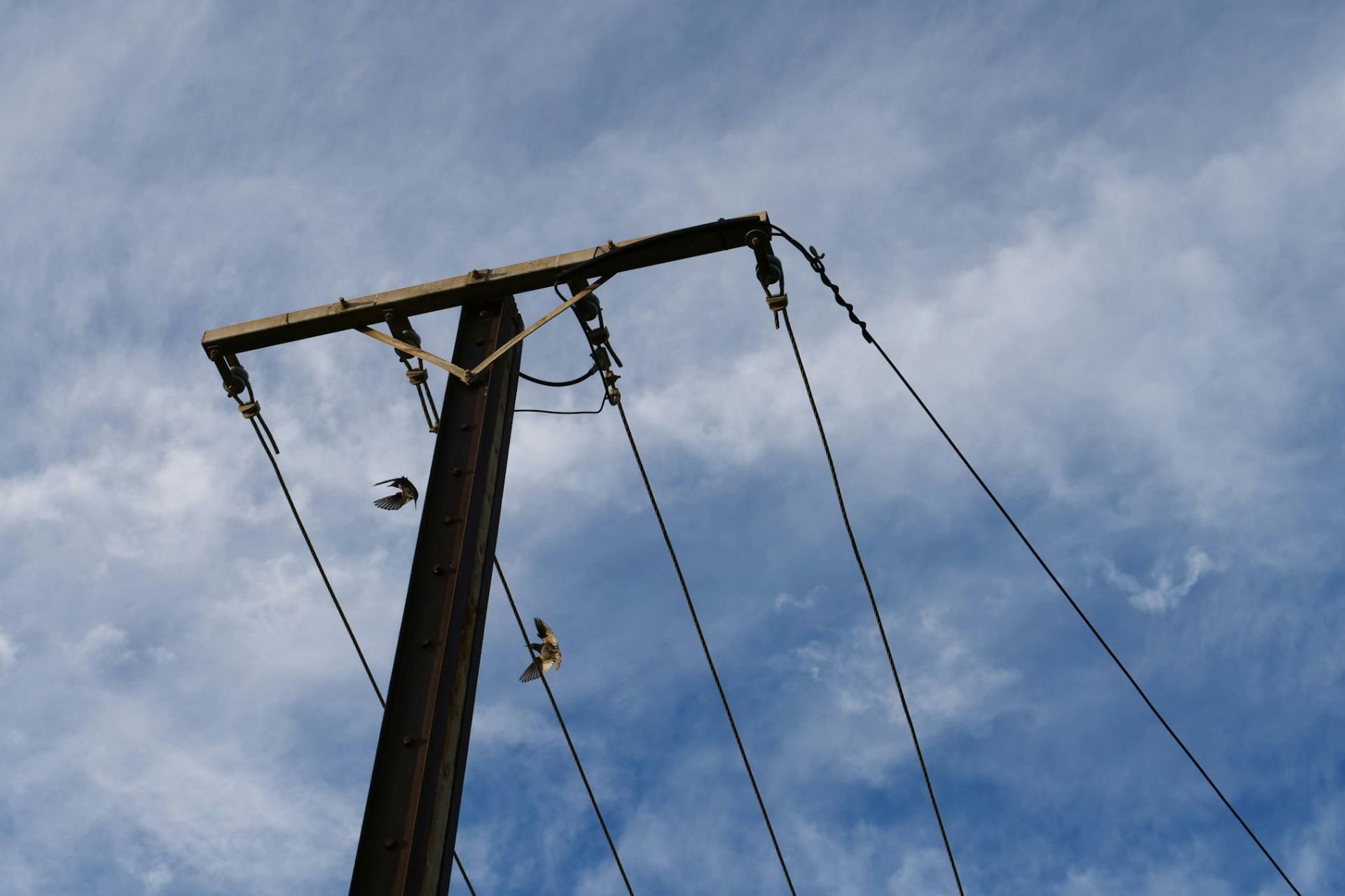 Electricity industry warned by ACCC following home battery rebate