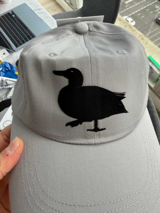 Custom cap with duck design