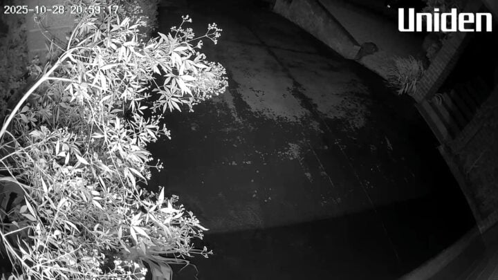 Uniden App Cam Solo X2K night time image
