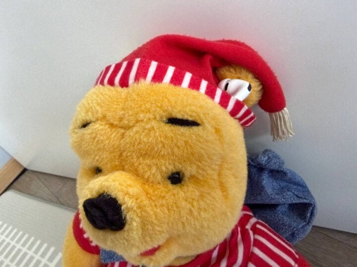Apple AirPods Pro 3 Winnie the Pooh