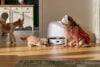 Roborock Qrevo Curv 2 Flow robot cleaner with pets and child