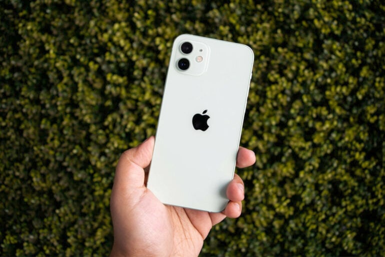 Hand holding iPhone 12 leafy background