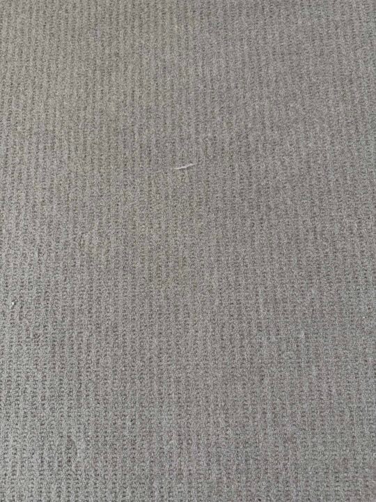 Carpet with most of the cat fur gone