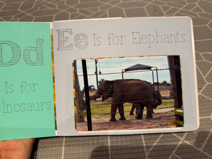 Cricut A-Z book elephant