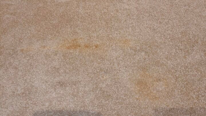 Red wine stain carpet cleaning