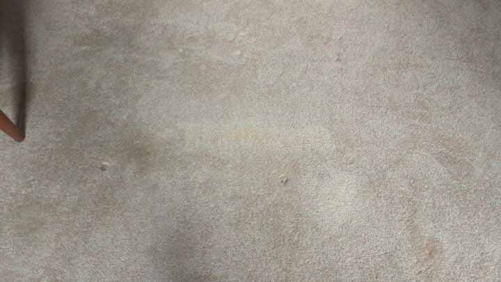 Red wine stain carpet cleaning