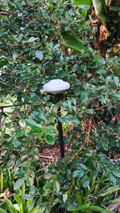 Anthbot GPS antenna
