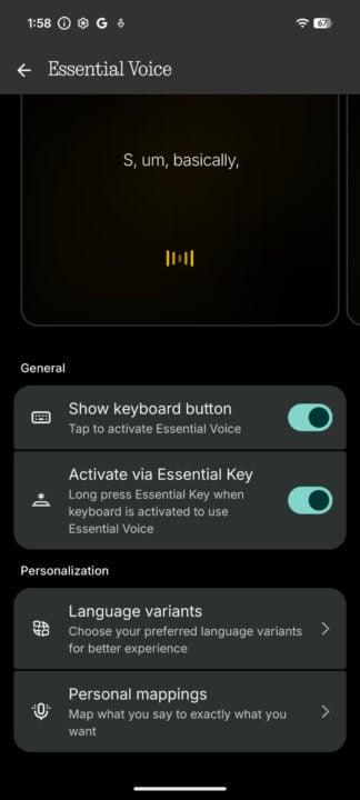 Nothing Essential Voice settings