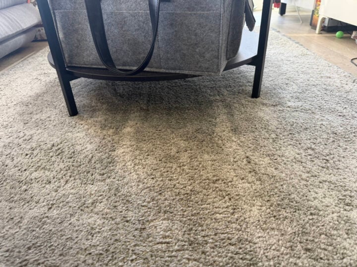 clean carpet