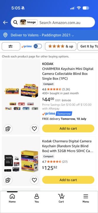 Kodak on Amazon results