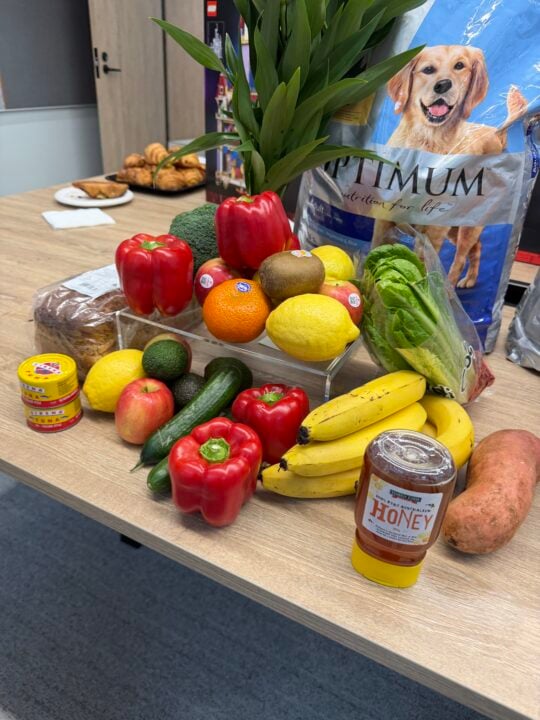 Fresh fruit and vegetables from Harris Farm Markets arranged on a table with honey and dog food