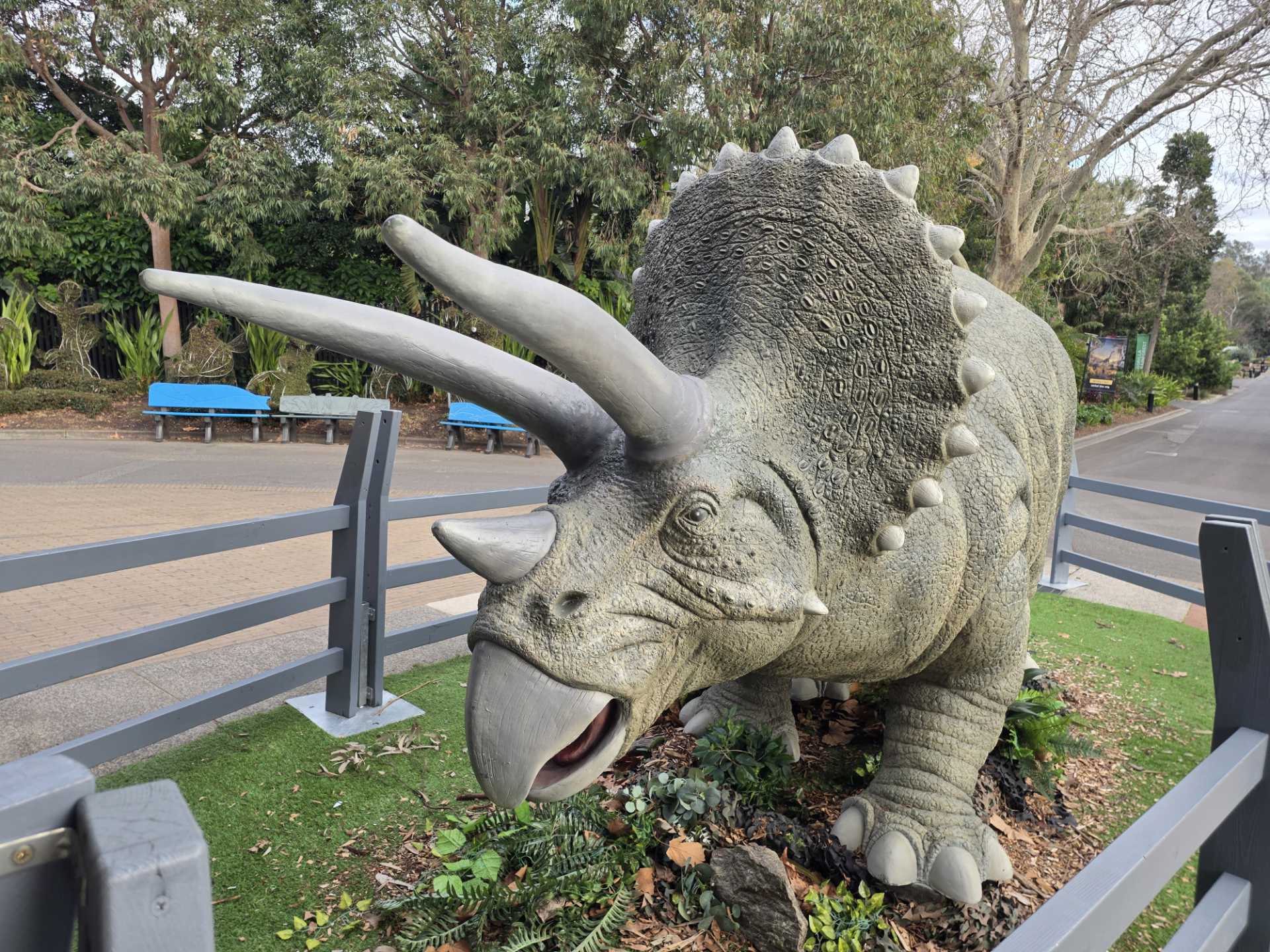 Photo of a model triceratops