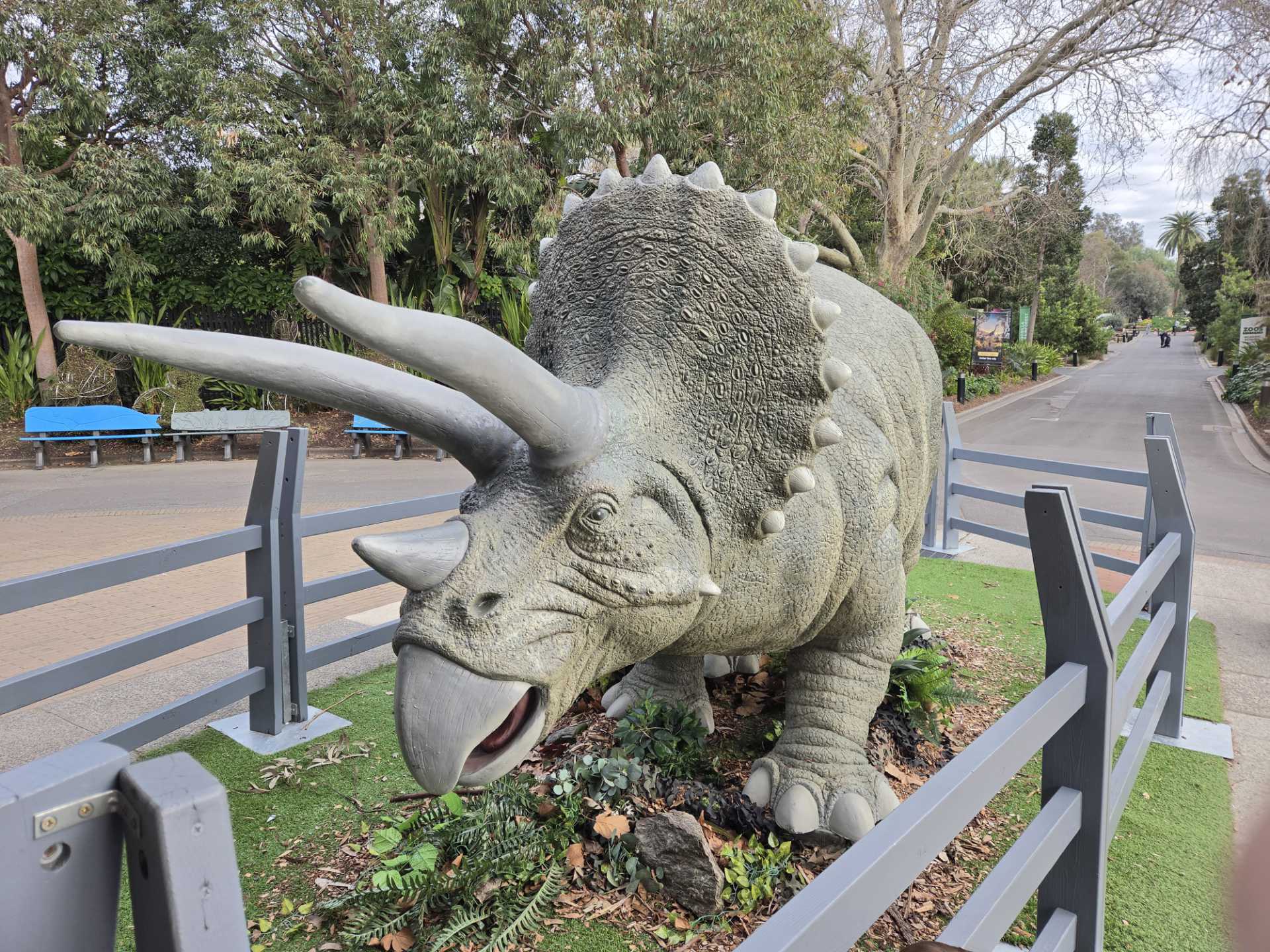 Photo of a model triceratops