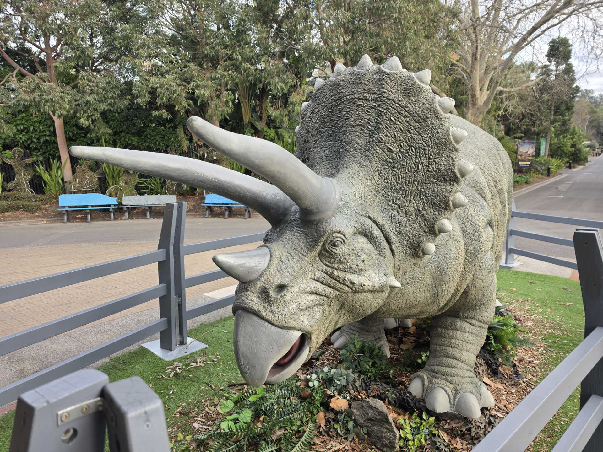 Photo of a model triceratops