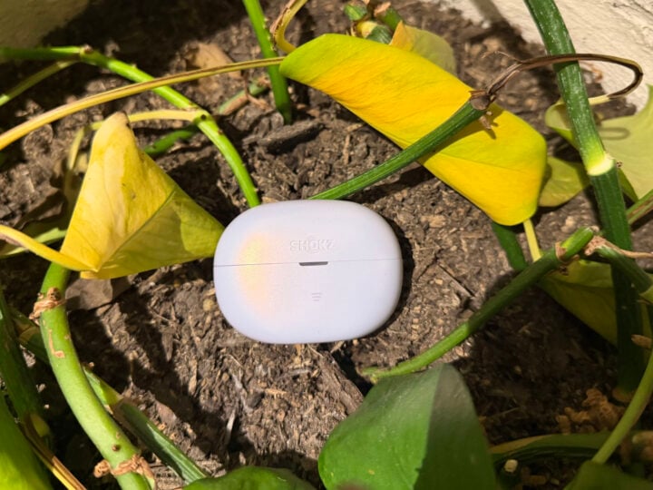 Shokz charging case in pot plant