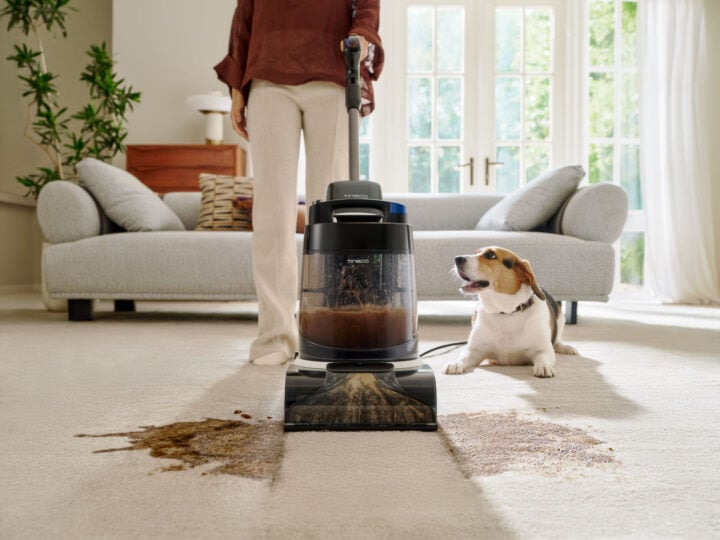 Tineco CARPET ONE Cruiser cleaning next to dog