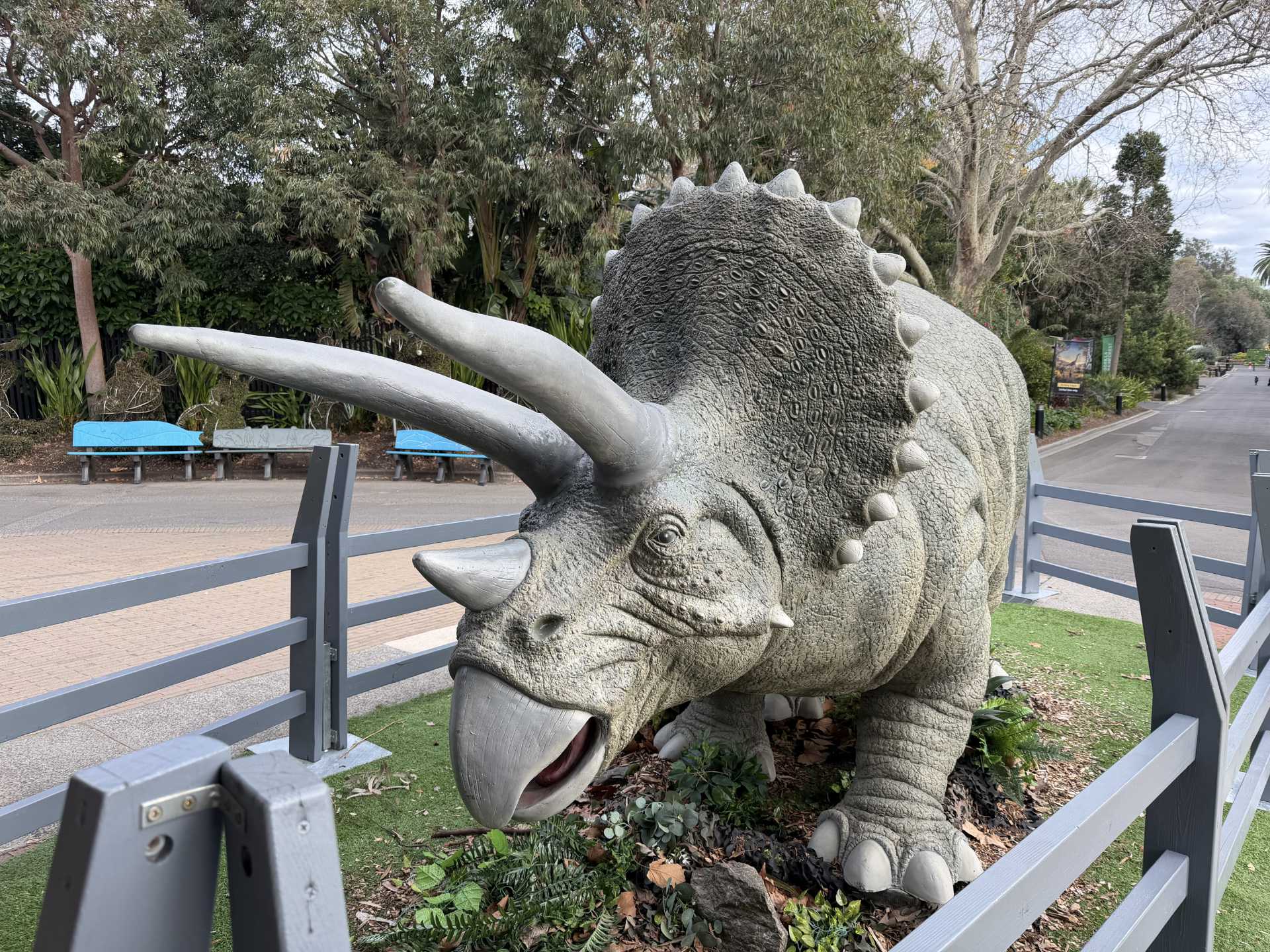 Photo of a model triceratops
