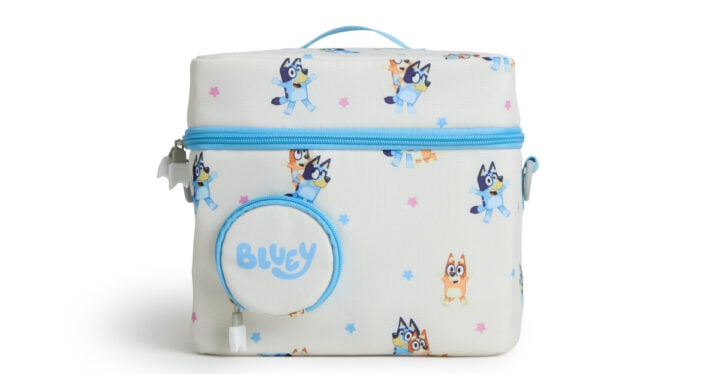 Bluey Tonies bag