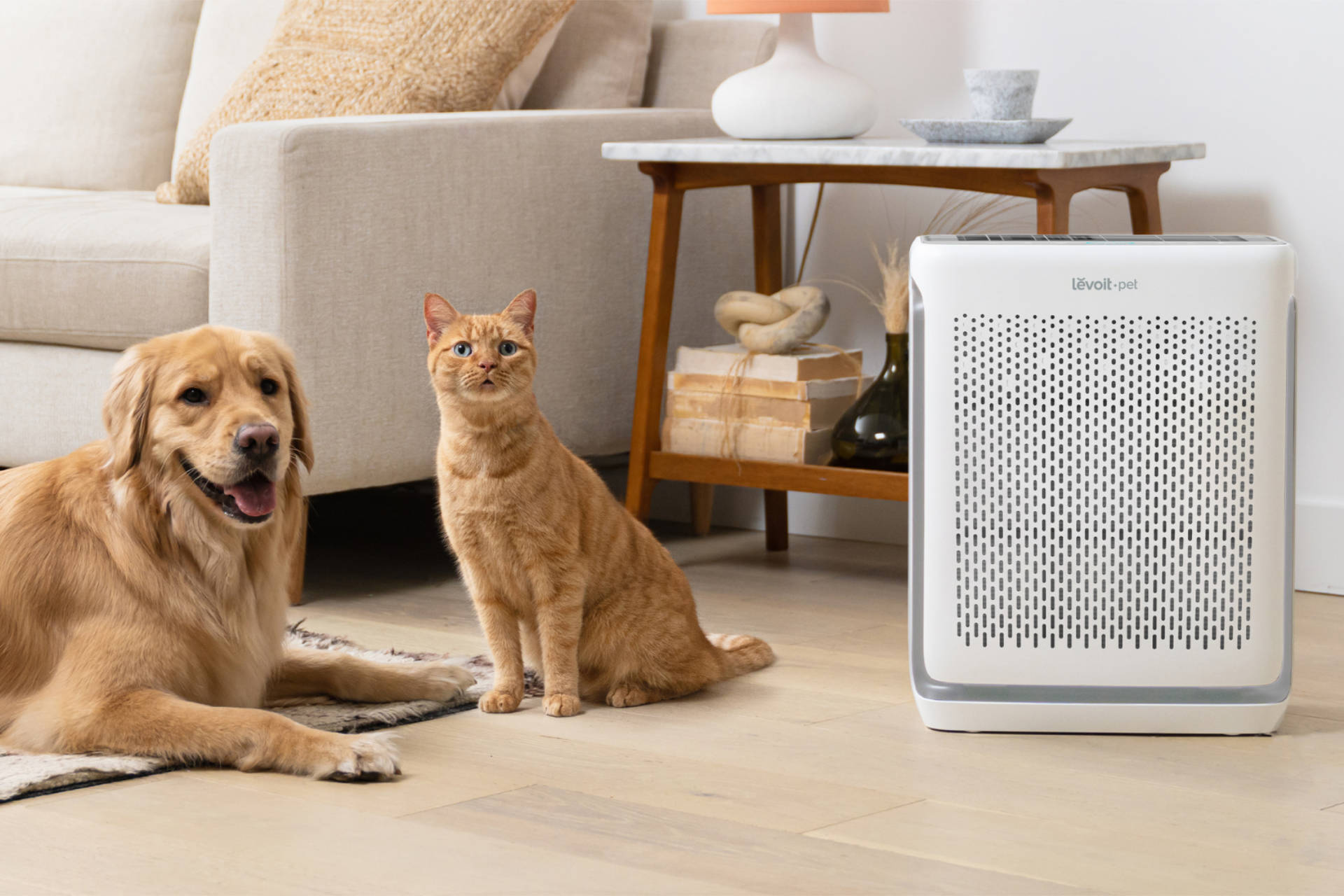 Love your pet but hate the pong? A pet-friendly air purifier is the answer