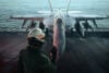 Ace Combat 8 cover image