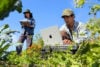 Field workers using M6 MacBook Pro